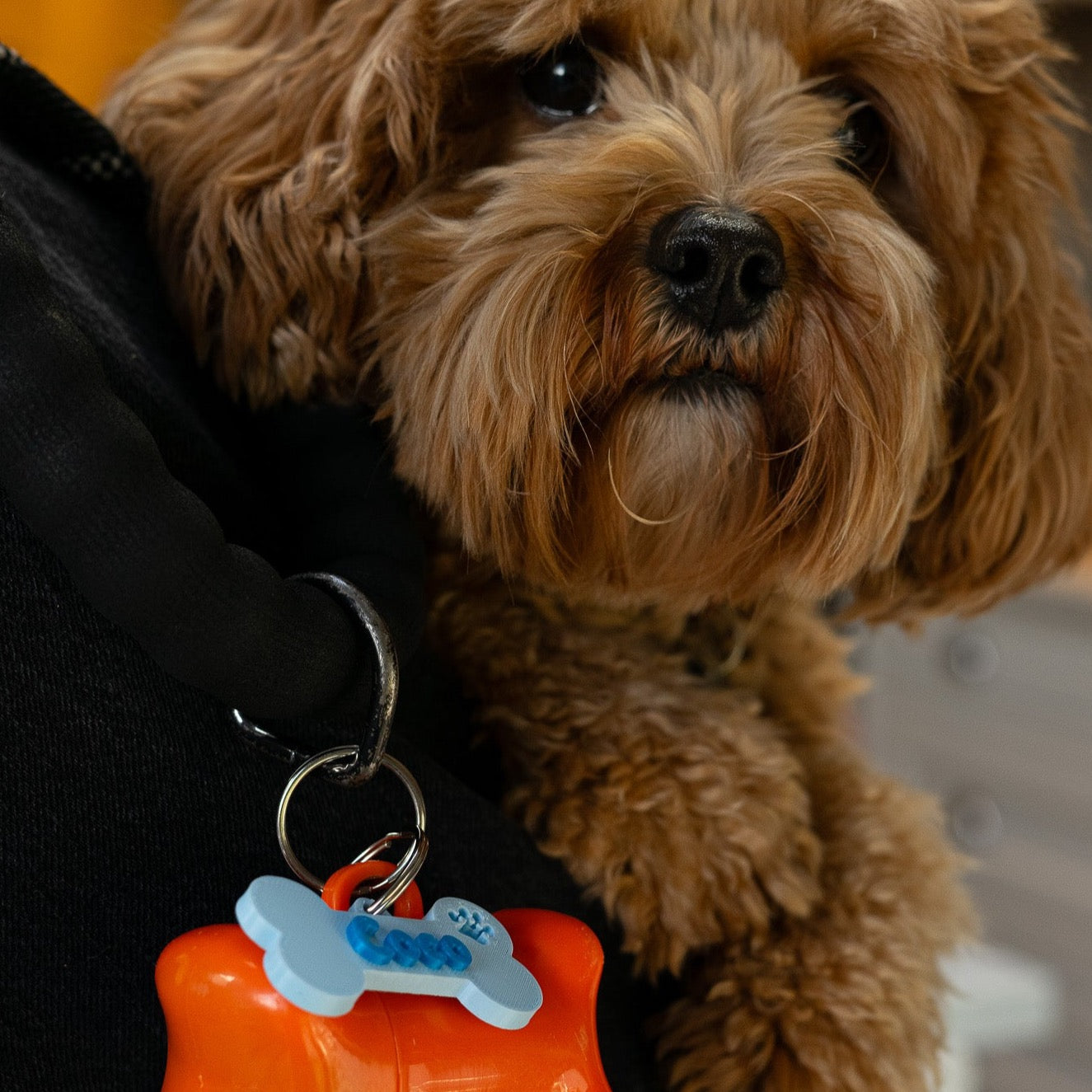 Dog Lead Name Tag